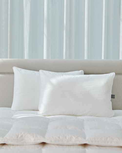 Francis Brennan the Collection Firm Down Surround Pillow