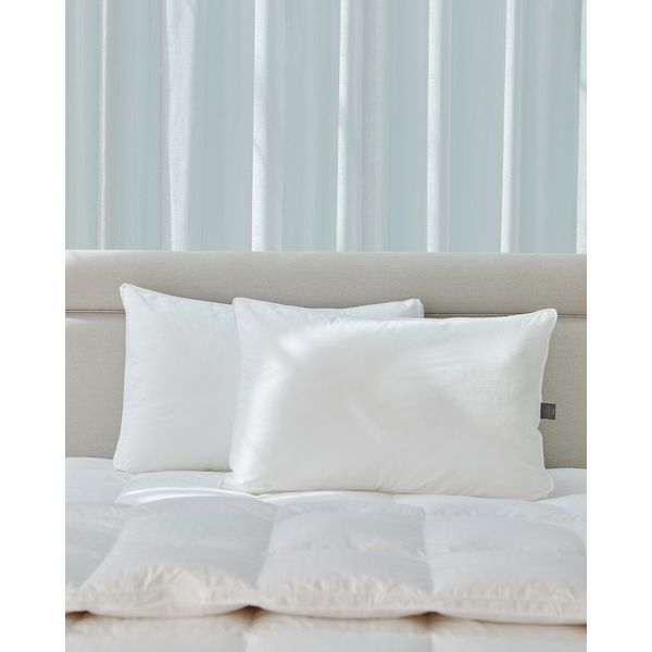 Francis Brennan the Collection Firm Down Surround Pillow