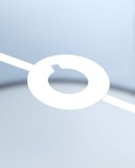 10IN---Grey