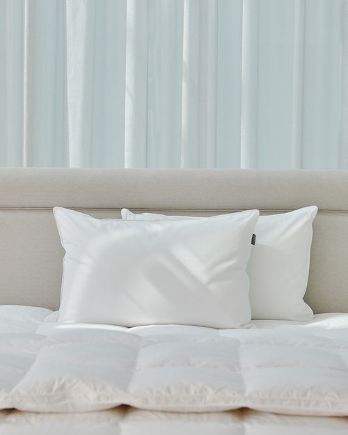 Francis Brennan the Collection Luxury Microfibre and Silk Fill Pillow