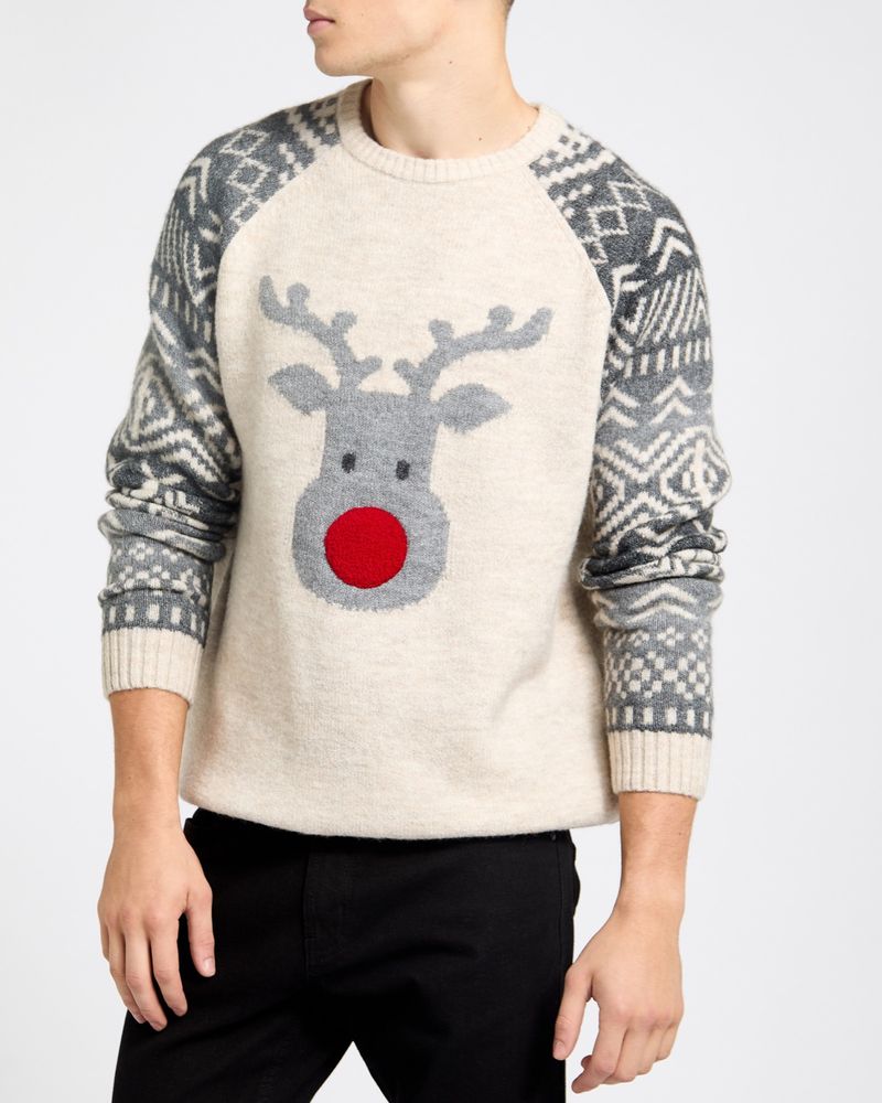 Rudolph Adult Family Christmas Jumper Dunnes Stores