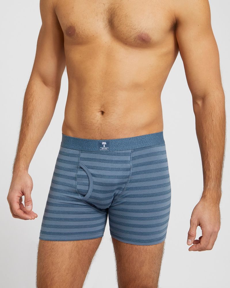 L---Multi-Stripe