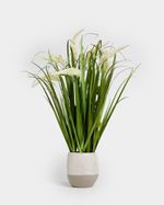 ONE-SIZE---Green