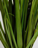 ONE-SIZE---Green