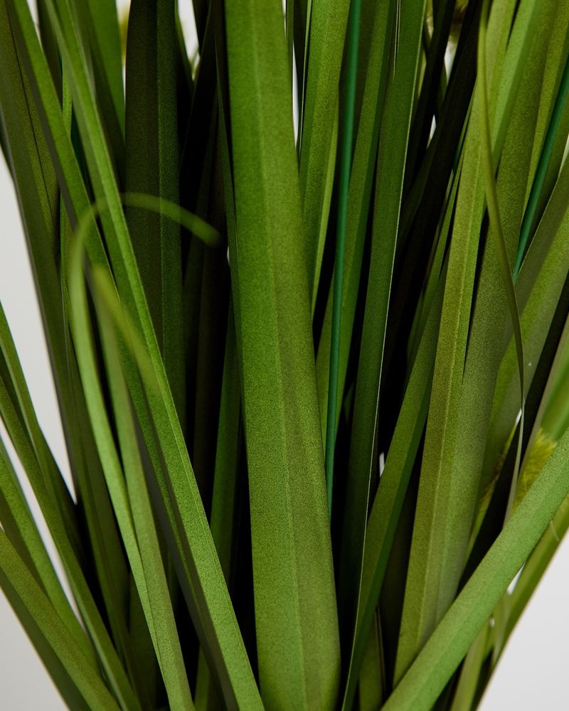 ONE-SIZE---Green
