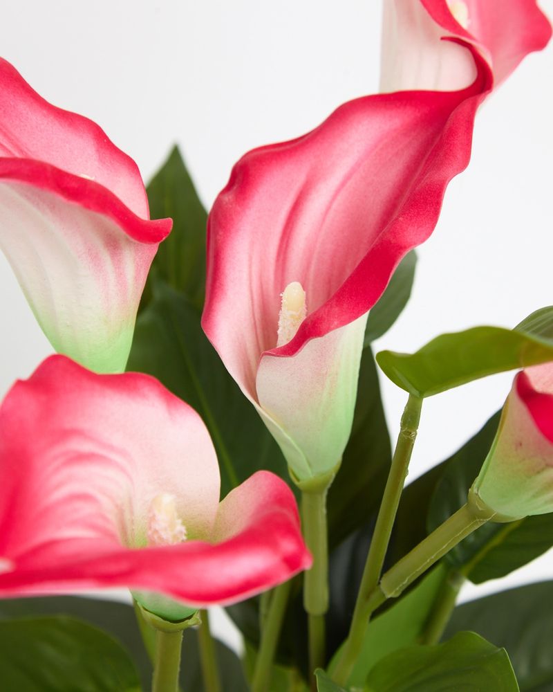 ONE-SIZE---Pink