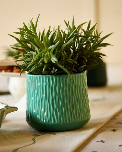 Carolyn Donnelly Eclectic Plant In Patterned Pot