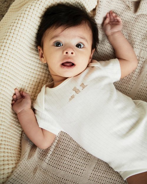 Pure Cotton Bodysuit - Pack Of 5 (Newborn-9 Months)