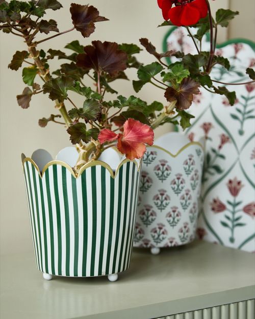 Carolyn Donnelly Eclectic Scallop Print Pot