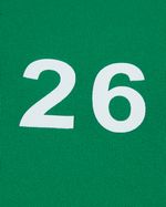 33-34---Ireland