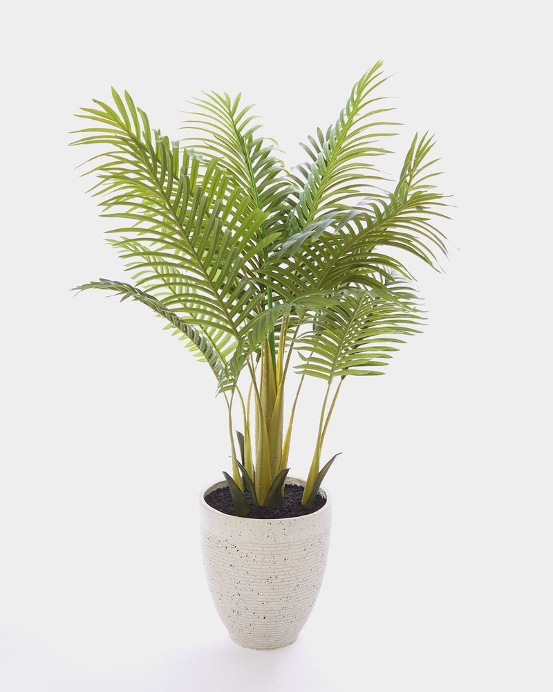 L---Green