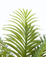 L---Green