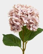 ONE-SIZE---Pink