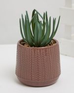 ONE-SIZE---Dark-Pink