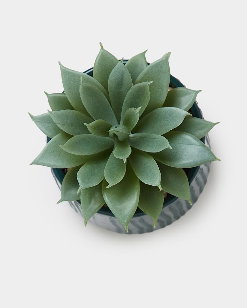 ONE-SIZE---Teal