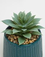 ONE-SIZE---Teal