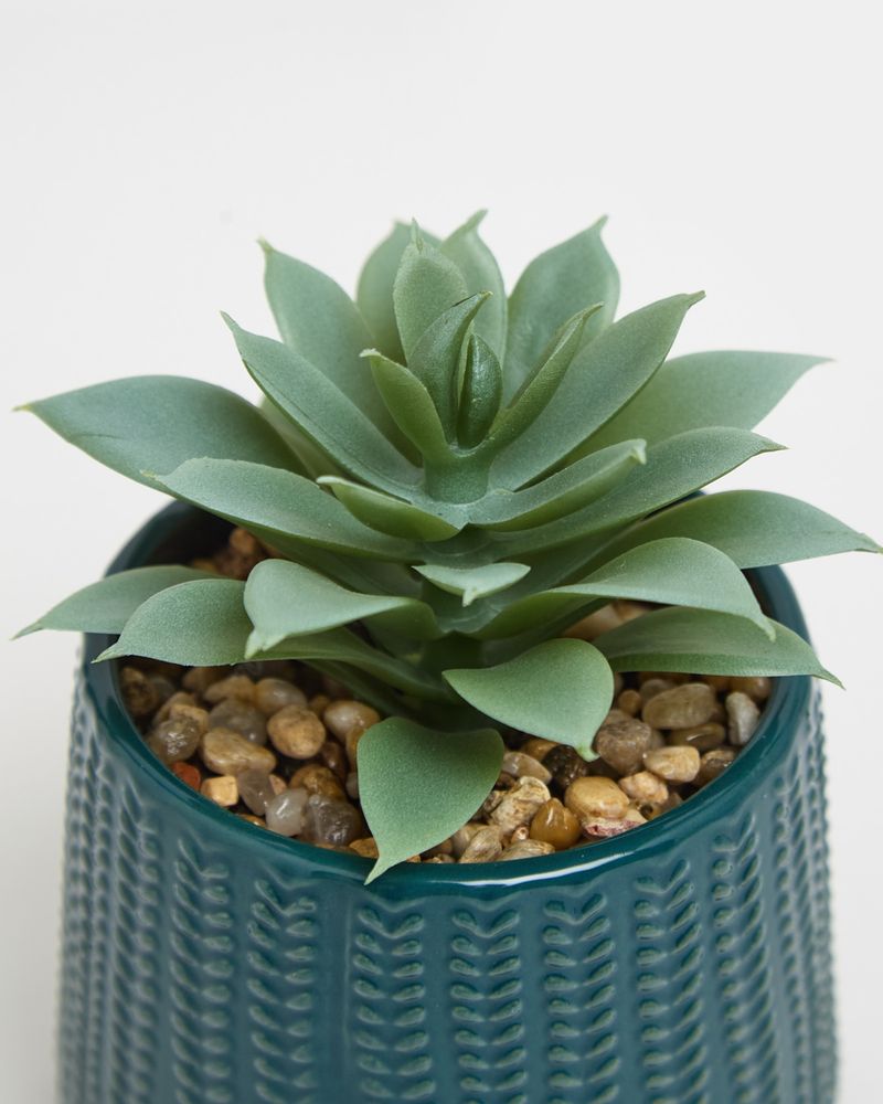 ONE-SIZE---Teal