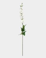 ONE-SIZE---White