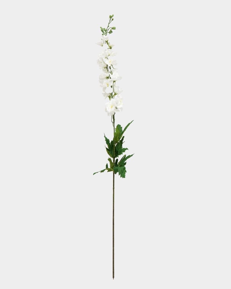 ONE-SIZE---White