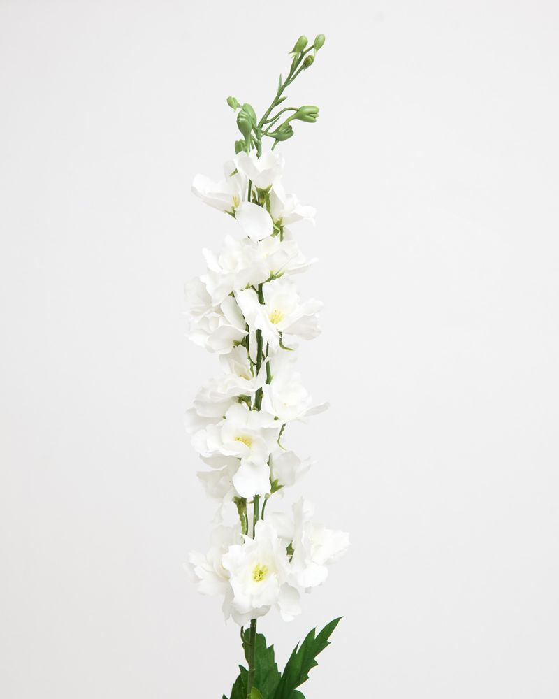 ONE-SIZE---White