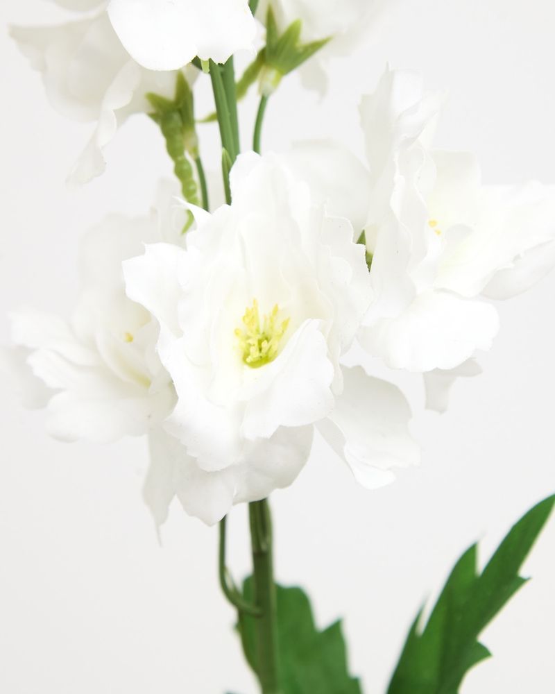 ONE-SIZE---White