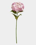ONE-SIZE---Pink