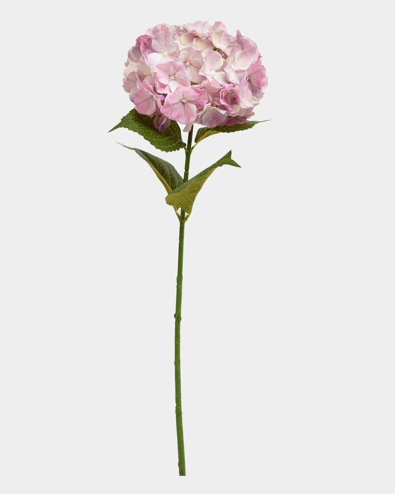 ONE-SIZE---Pink