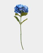 ONE-SIZE---Blue