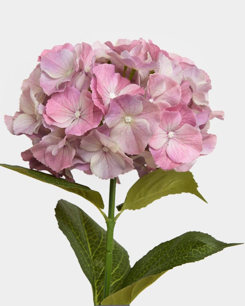 ONE-SIZE---Pink