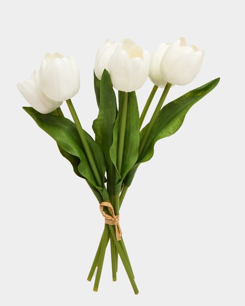 Tulip Bunch