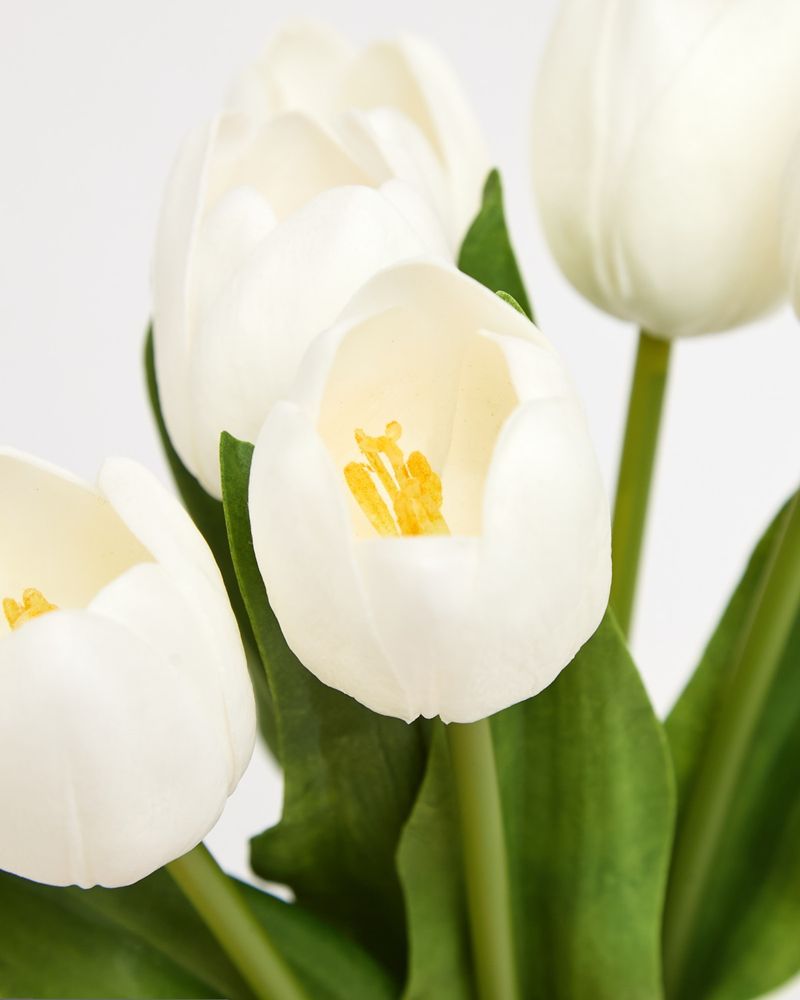 ONE-SIZE---Ivory