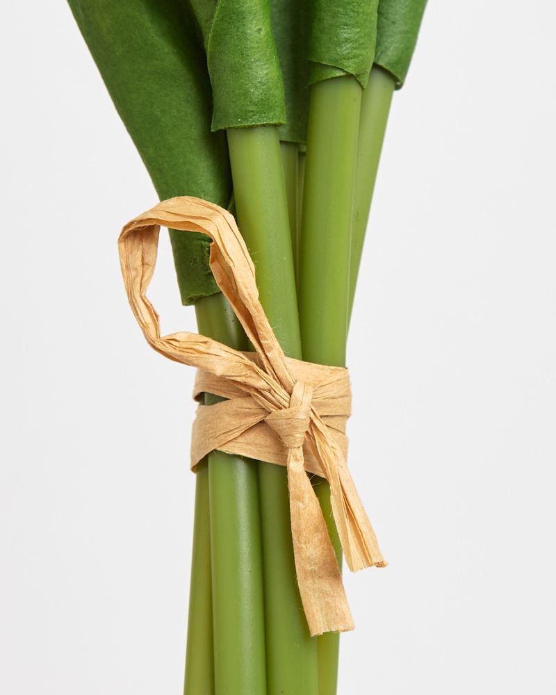 ONE-SIZE---Ivory