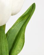 ONE-SIZE---Ivory