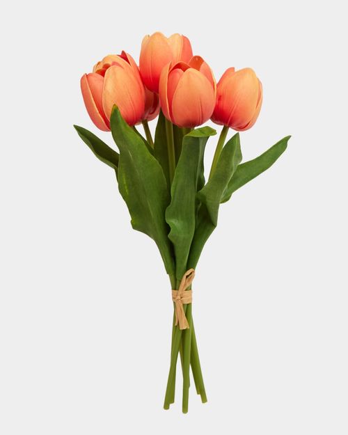 Tulip Bunch