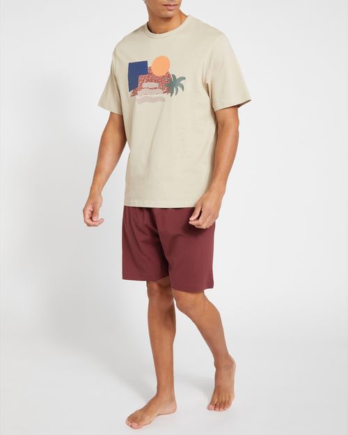 Cotton T-Shirt And Shorts Pyjama Set