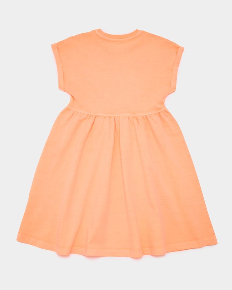 2-3-YRS---Coral