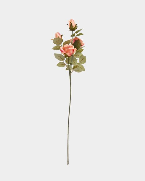 Multi Rose Stem
