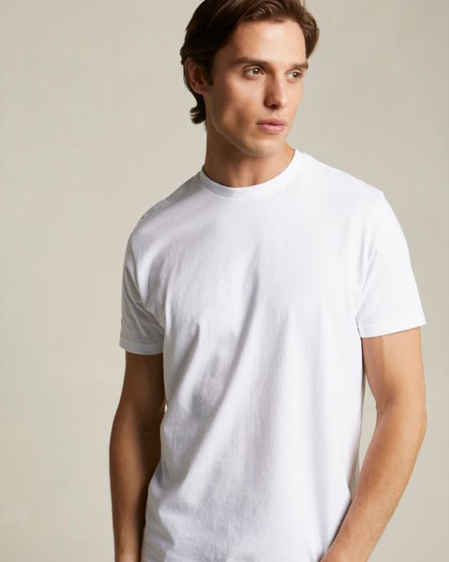 Regular Fit Crew Neck T-Shirt
