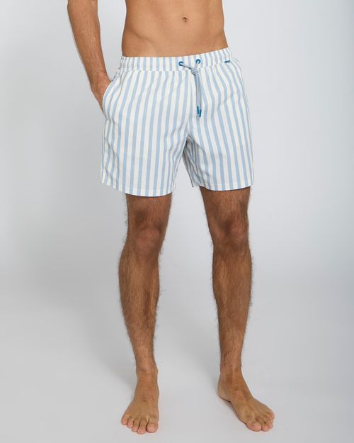 Washed Stripe Printed Swim Shorts