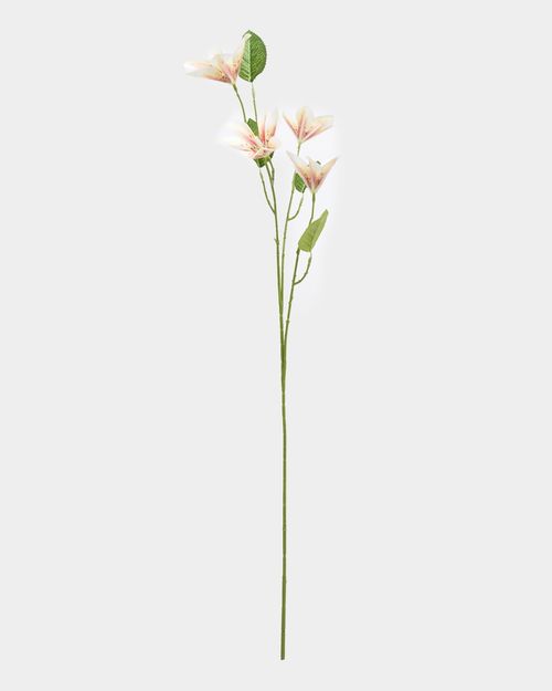 Tiger Lily Stem