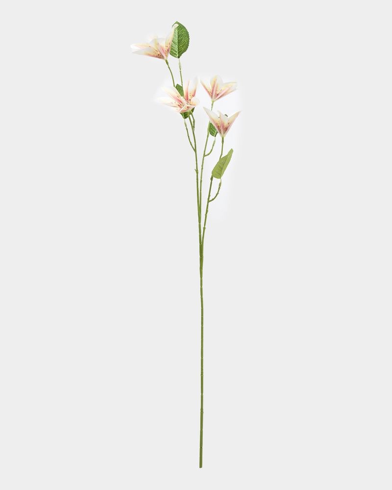 ONE-SIZE---White