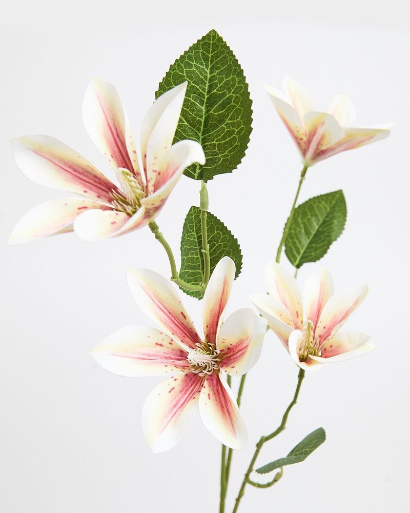ONE-SIZE---White