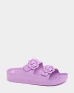 1---Purple