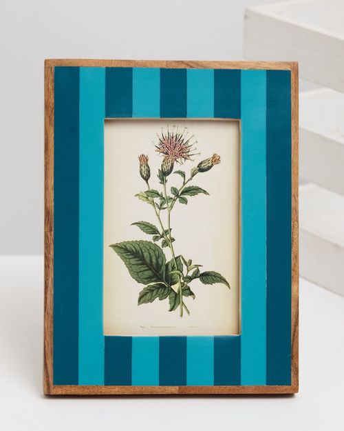 Carolyn Donnelly Eclectic Stripe Frame