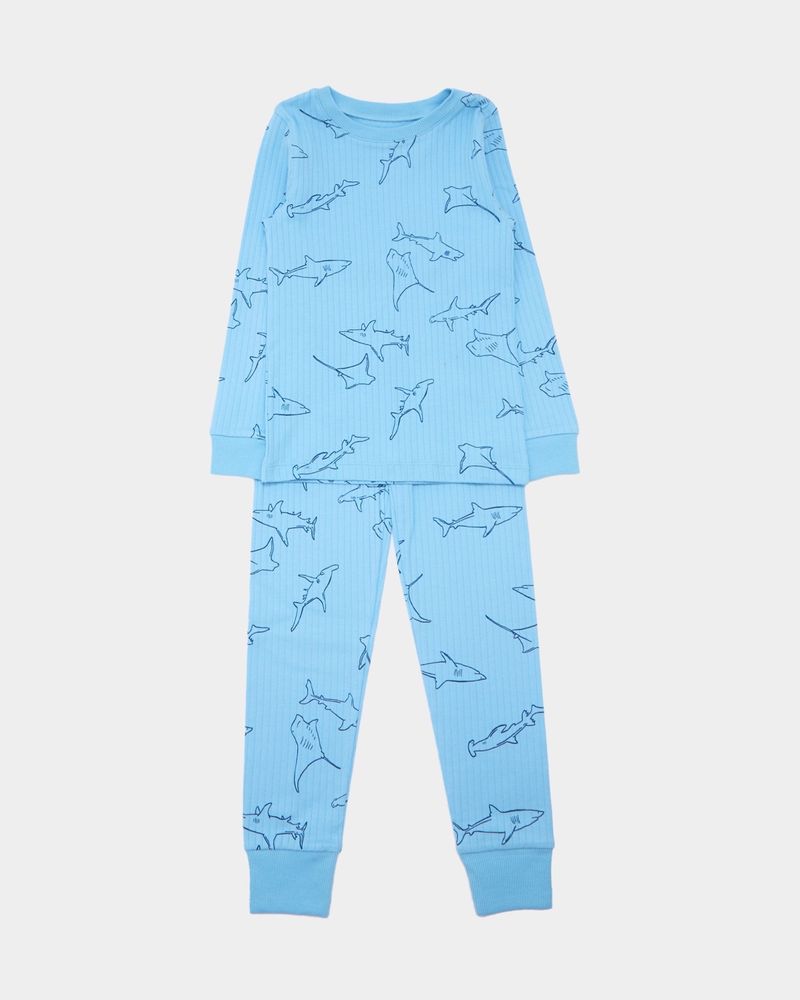 2-3-YRS---Shark