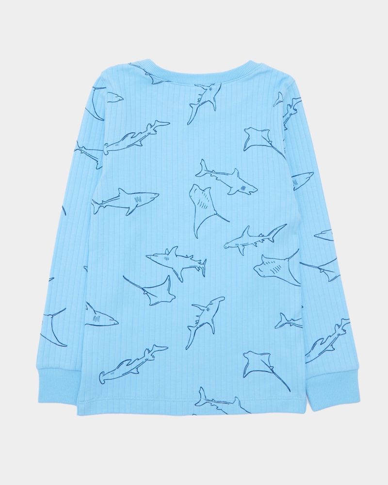 2-3-YRS---Shark