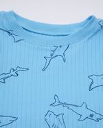 2-3-YRS---Shark