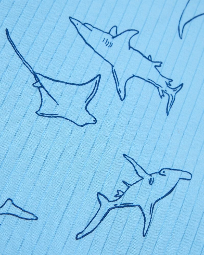 2-3-YRS---Shark