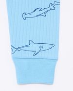 2-3-YRS---Shark