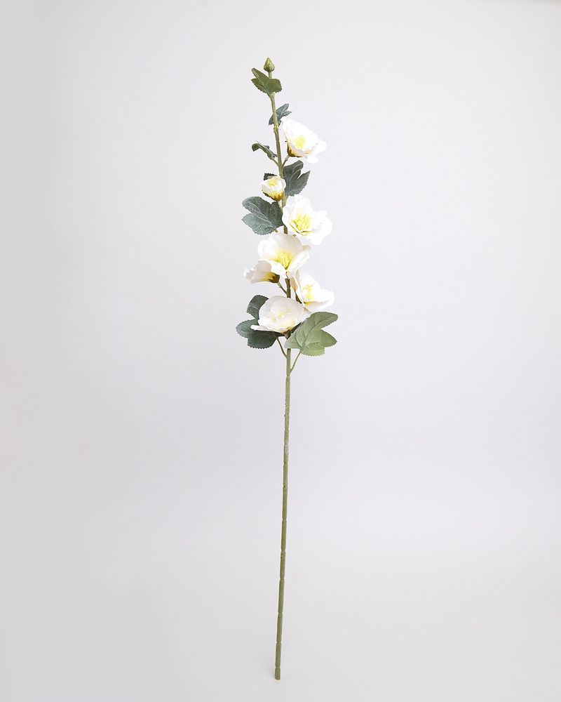 ONE-SIZE---White